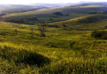 Grassland Hill Highland Ecosystem