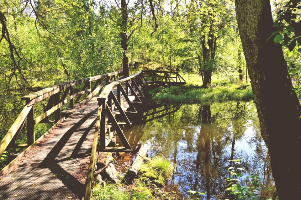 Nature Reserve Path Tree Water