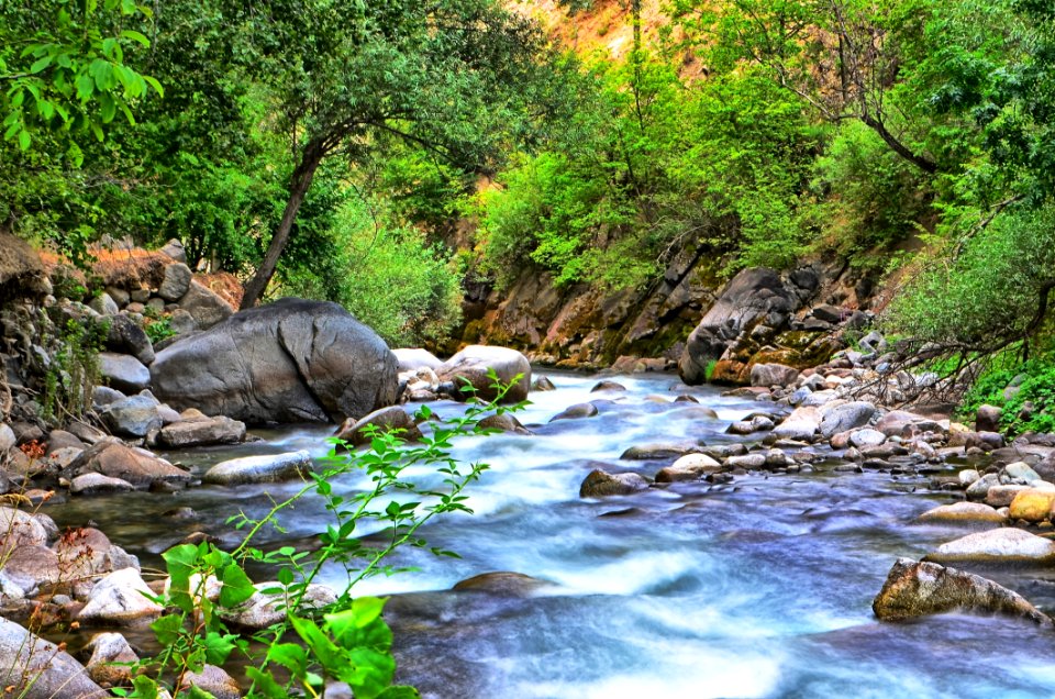 Stream Water Nature Watercourse