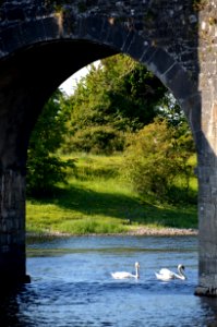 Waterway Water Reflection Arch