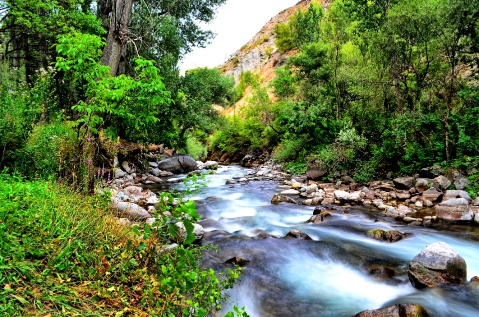 Water Stream Nature Watercourse