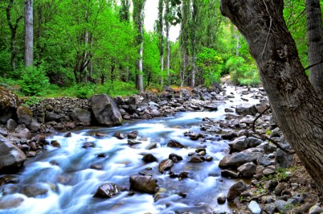 Stream Water Nature Body Of Water