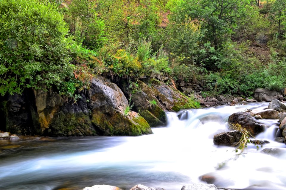 Water Nature Stream Water Resources