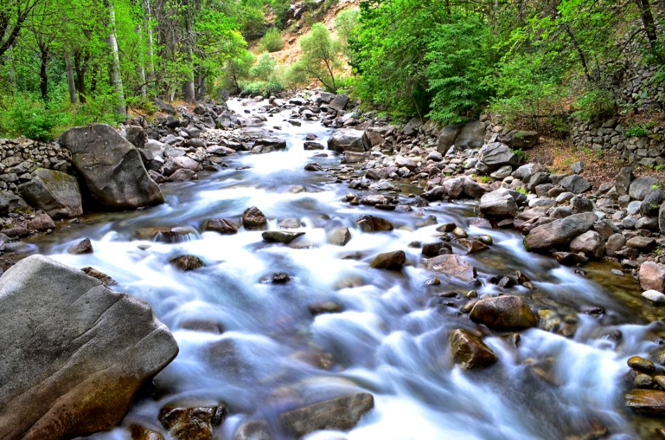 Stream Water Nature Creek