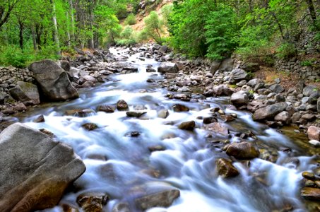 Stream Water Nature Creek photo