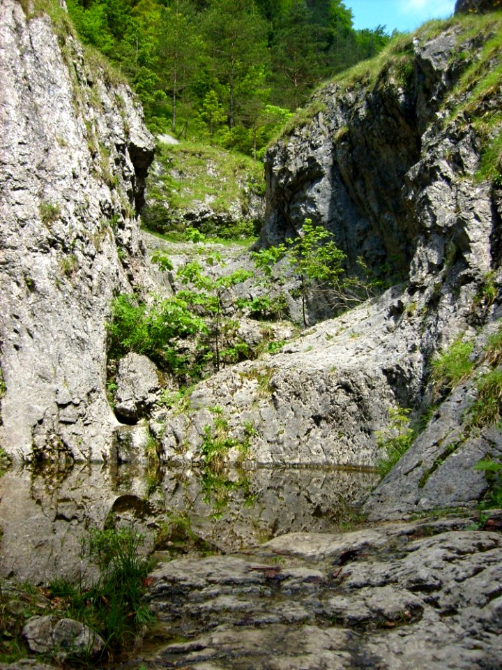 Rock Nature Reserve Ravine Bedrock