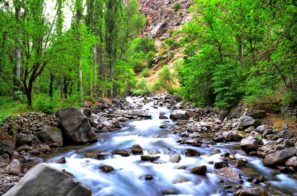 Water Stream Nature Body Of Water