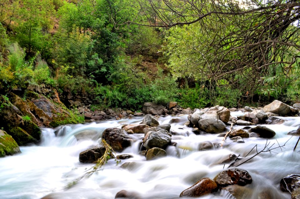 Water Stream Nature Body Of Water