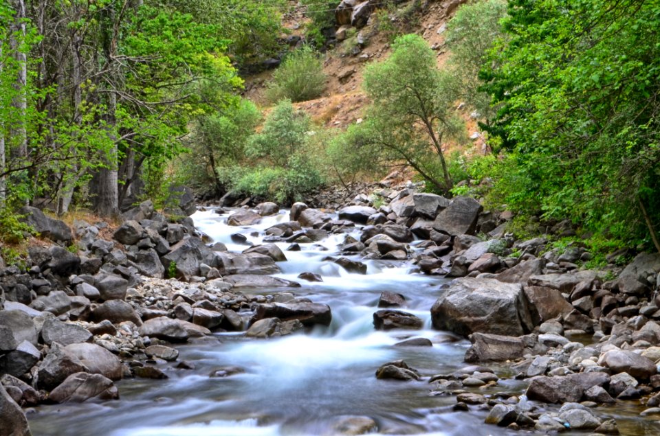 Stream Water Nature Body Of Water
