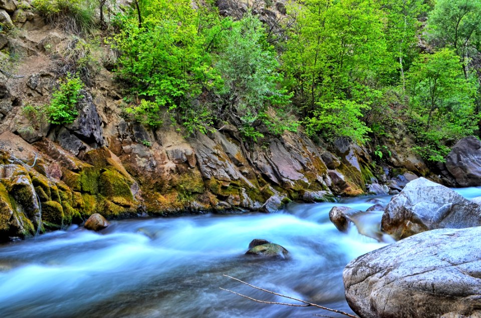 Water Stream Nature Watercourse