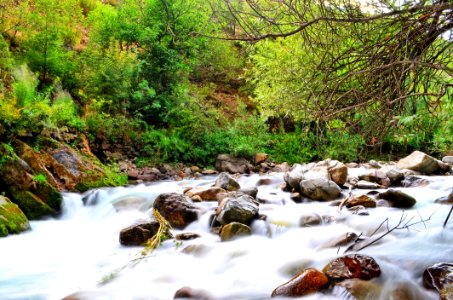 Water Stream Nature Body Of Water photo