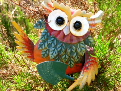 Owl Bird Leaf Beak