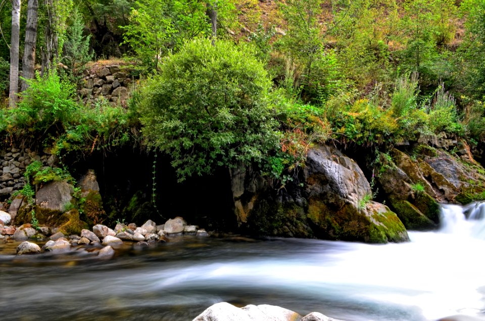Water Nature Vegetation Body Of Water