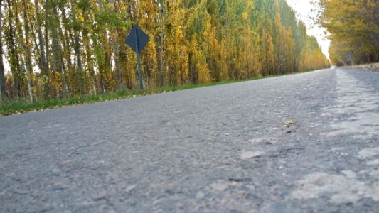 Road Asphalt Path Road Surface photo