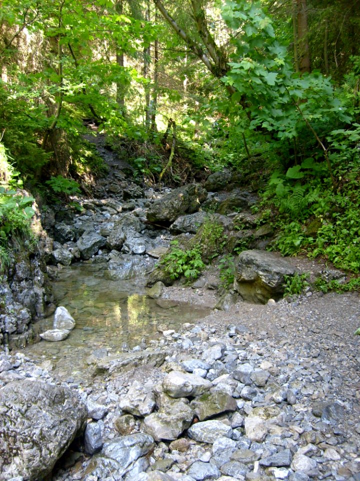 Water Stream Creek Nature Reserve
