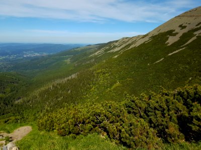 Highland Chaparral Ridge Vegetation