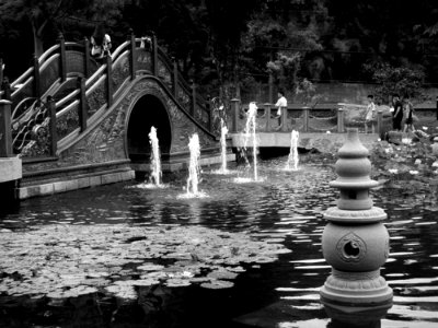 Water Reflection Black And White Monochrome Photography photo