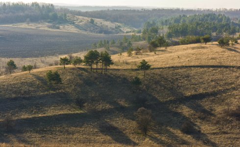 Hill Tree Escarpment Rural Area