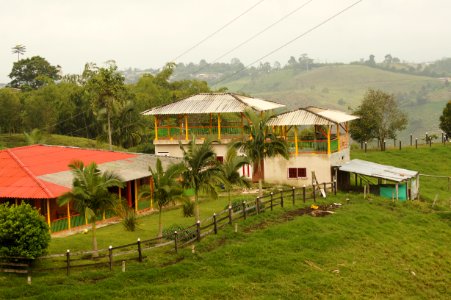 Property Rural Area Real Estate Farm