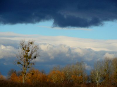 Sky Cloud Ecosystem Atmosphere photo