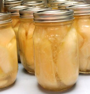 Food Preservation Pickling Mason Jar Canning photo