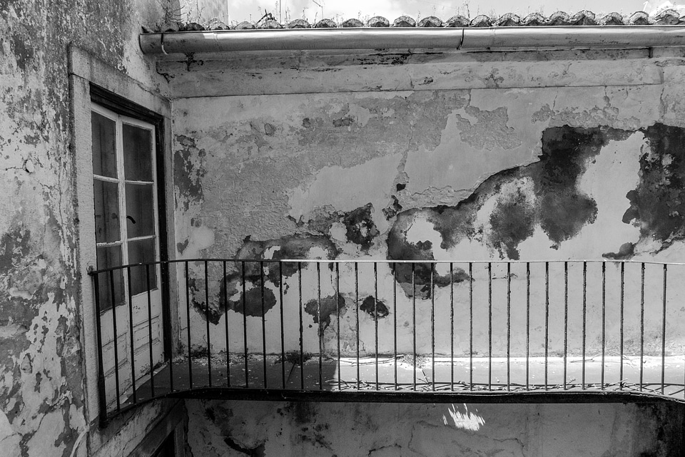 Black and white door housing