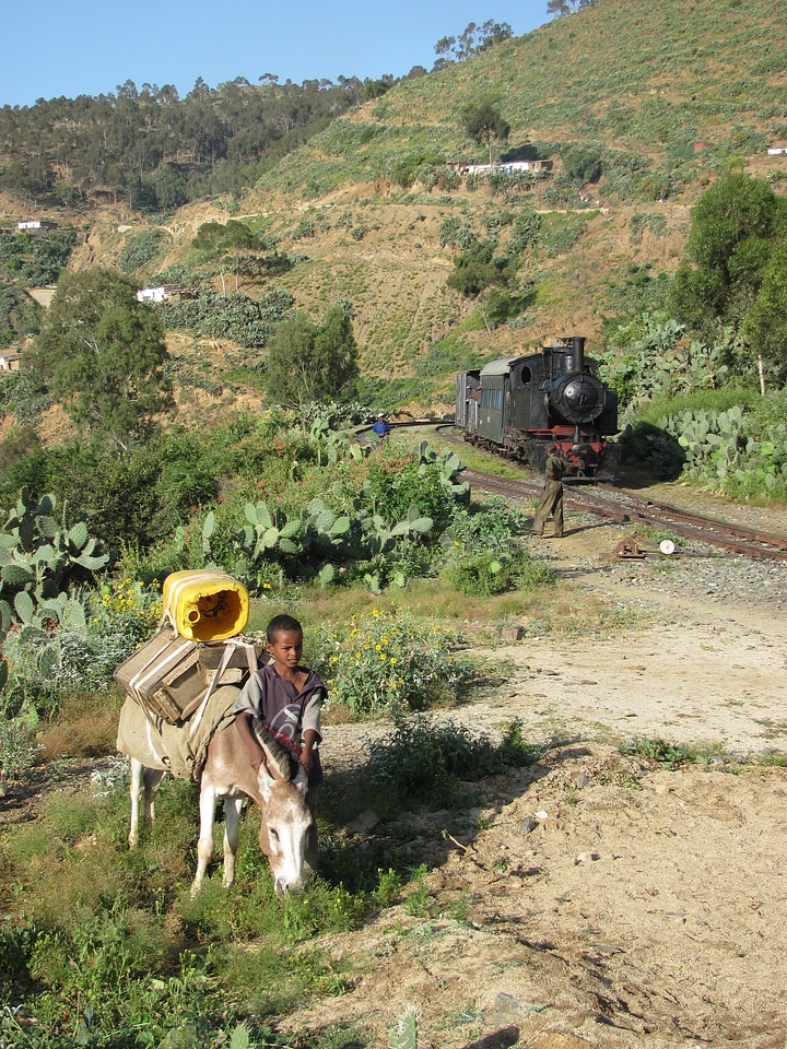 Donkey train hills