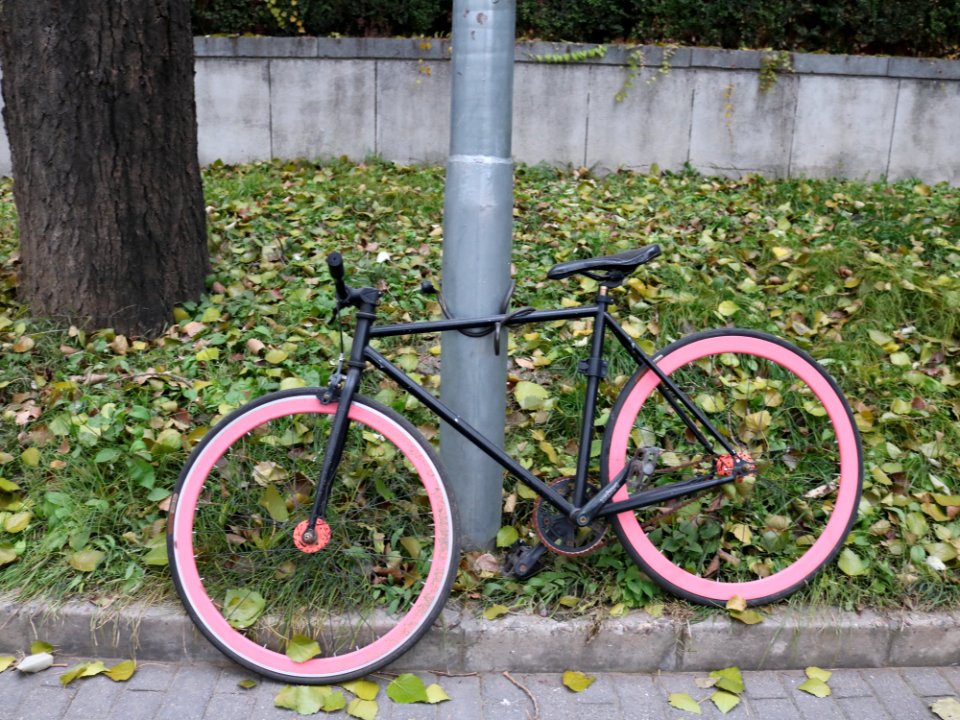 Bicycle Road Bicycle Bicycle Frame Bicycle Wheel