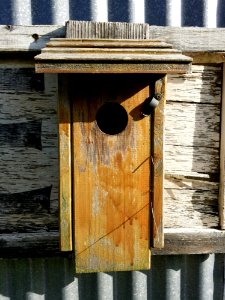 Wood Birdhouse Outhouse Facade