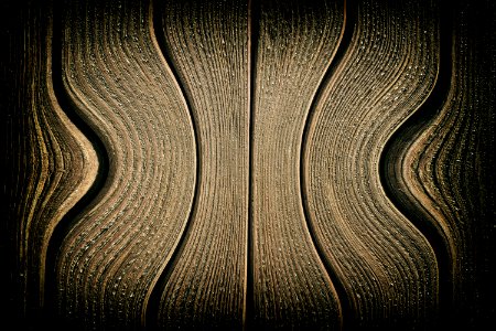 Wood Pattern Line Trunk