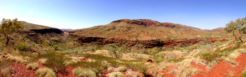 Chaparral Vegetation Ecosystem Shrubland photo