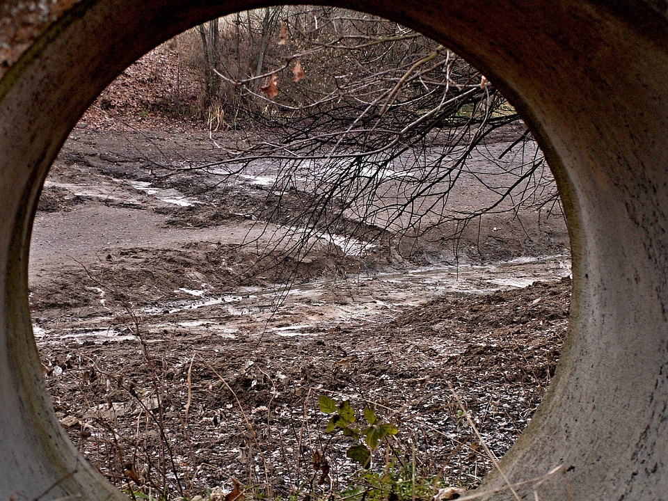Bottom launched autumn