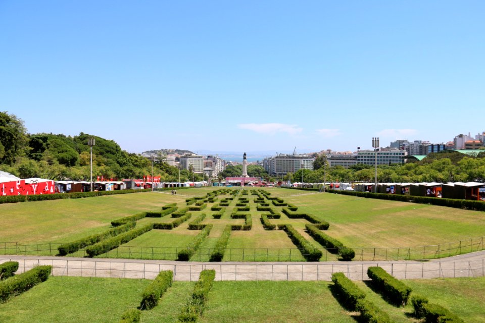 Landmark Sky Field Grass