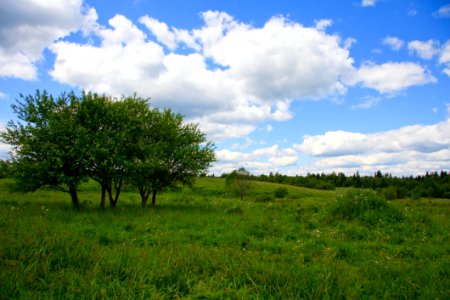 Sky Grassland Cloud Vegetation photo