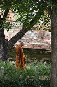 Buddhism orange monastery photo