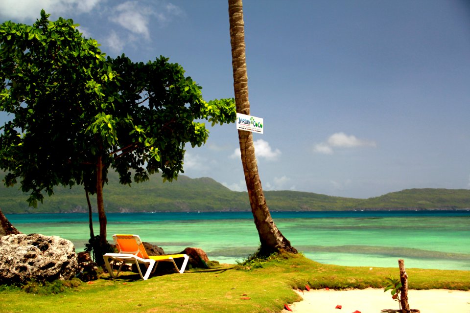 Sky Leisure Shore Tree