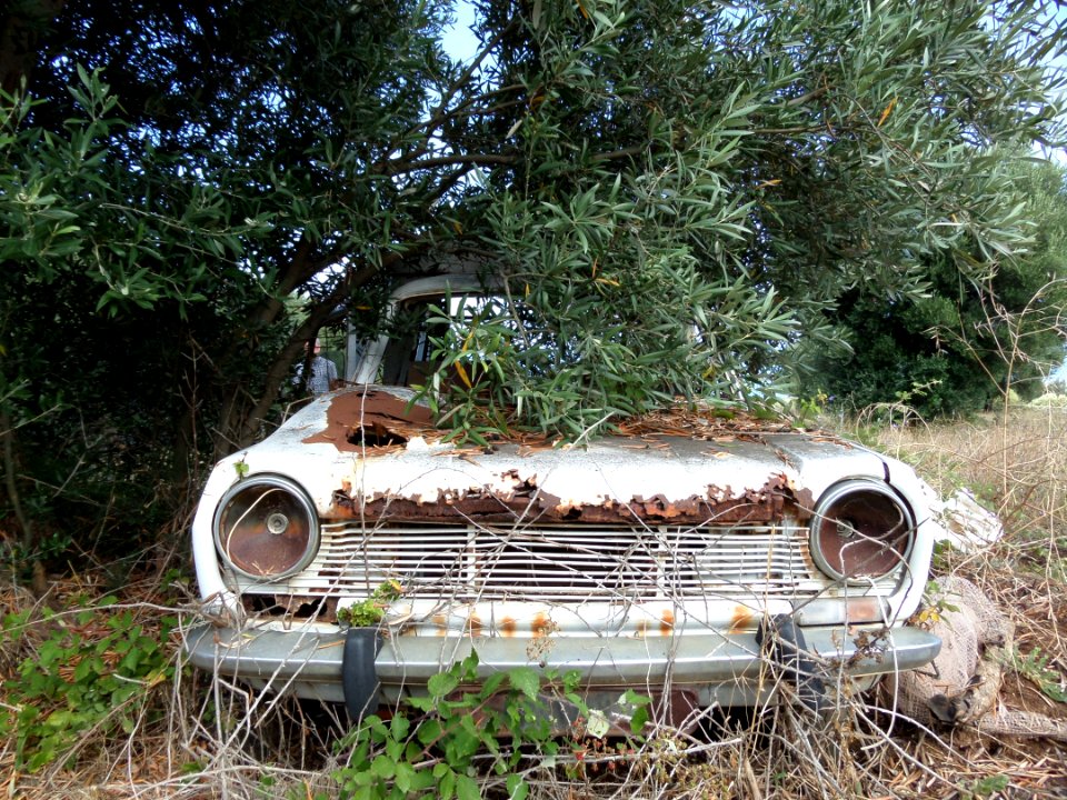 Motor Vehicle Car Vehicle Vintage Car