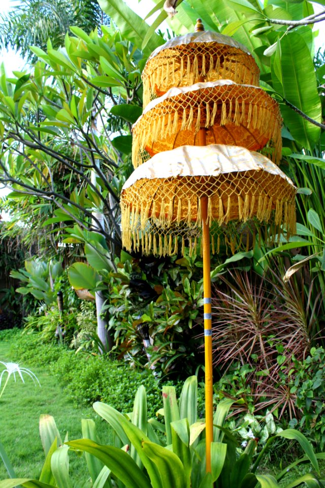 Plant Grass Arecales Outdoor Structure
