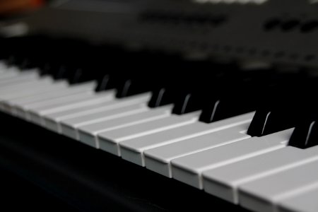 Piano Musical Instrument Keyboard Digital Piano photo