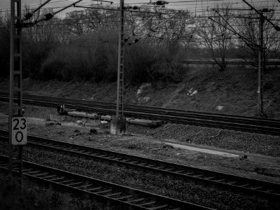 Track Black And White Rail Transport Tree photo