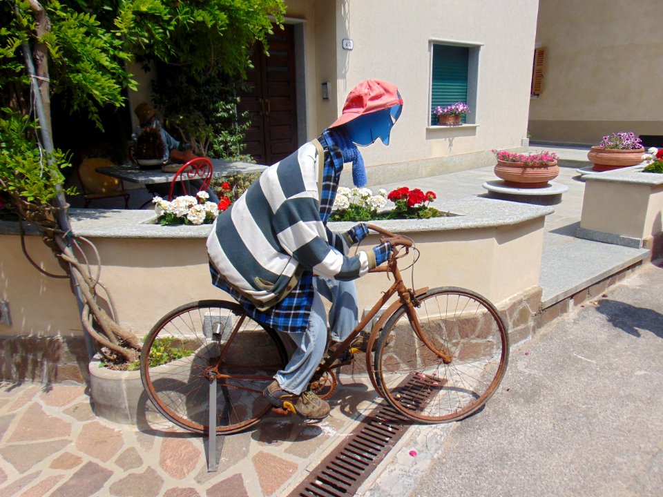 Land Vehicle Bicycle Road Bicycle Vehicle