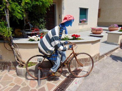 Land Vehicle Bicycle Road Bicycle Vehicle