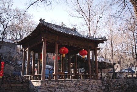 Chinese Architecture Building Tree Shinto Shrine