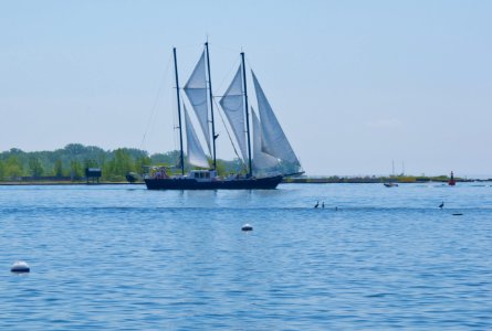 Waterway Water Sail Sailboat