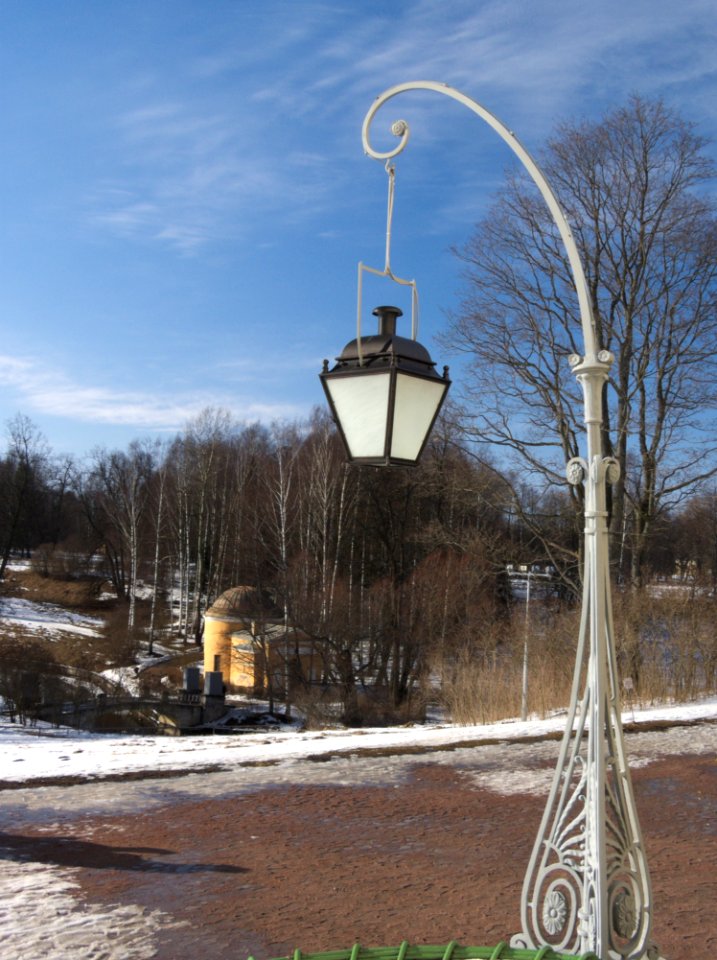 Street Light Sky Tree Winter