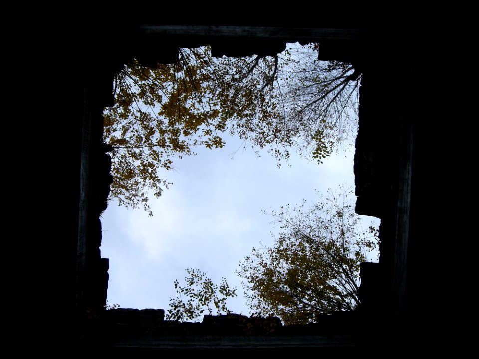 Sky Window Tree Picture Frame