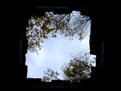 Sky Window Tree Picture Frame