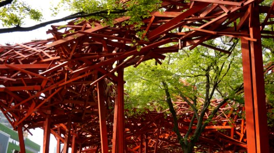 Tree Structure Pergola Plant