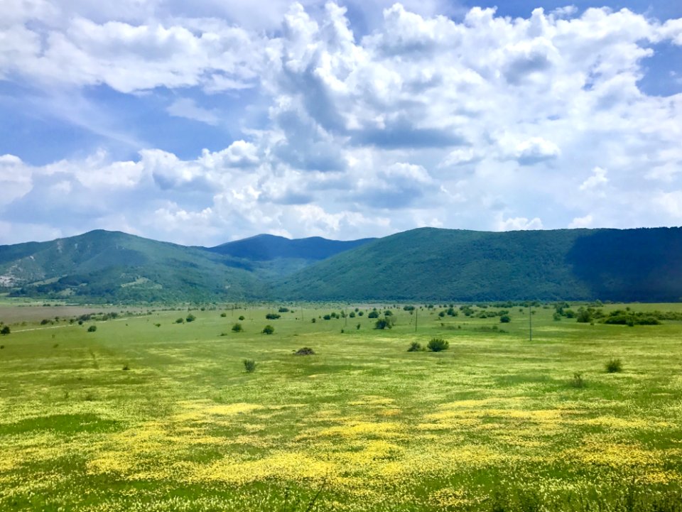 Grassland Ecosystem Plain Pasture