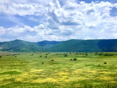 Grassland Ecosystem Plain Pasture